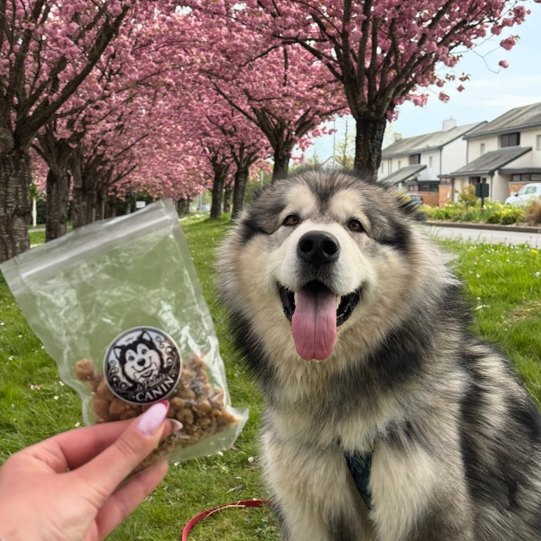 Friandises moelleuse - autruche Le Palais Canin