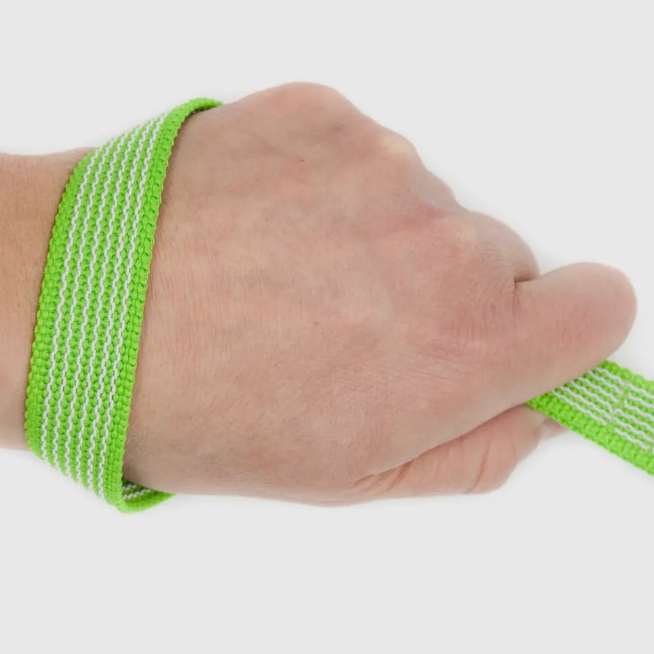 Longe - vert Le Palais Canin