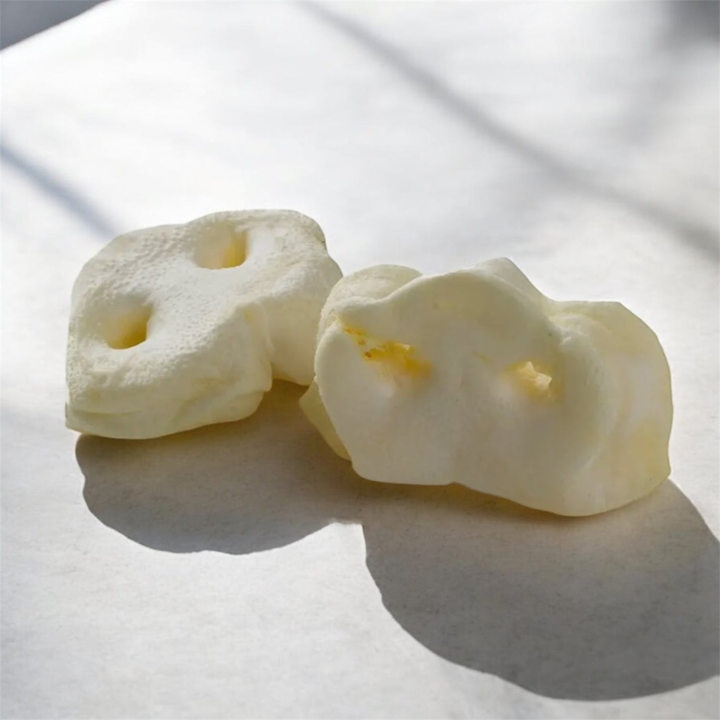 Groin de porc soufflé Le Palais Canin