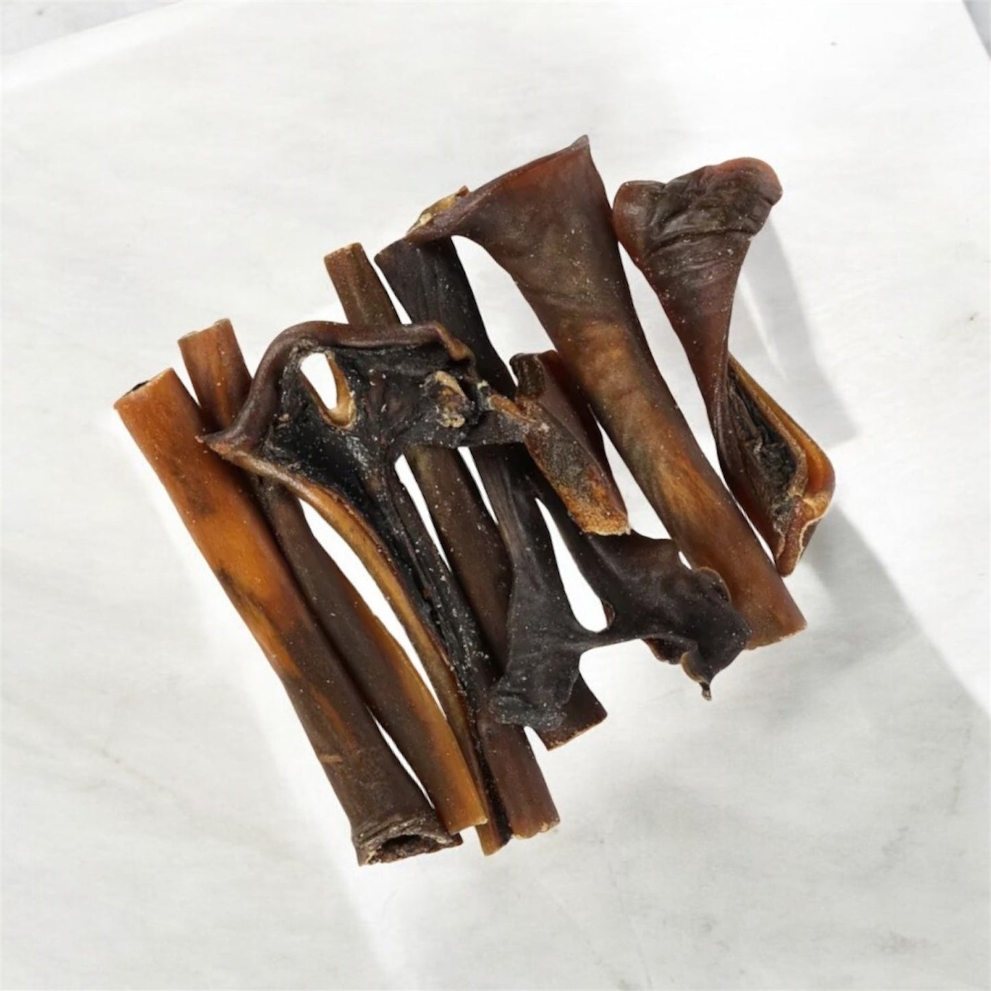 Peau de chameau Le Palais Canin