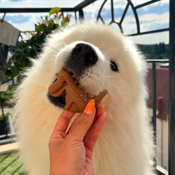 Dinosaure végétal Le Palais Canin