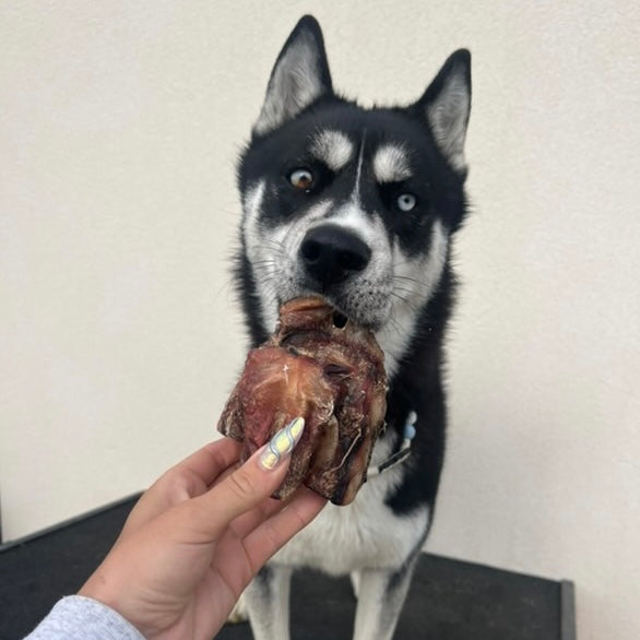 Nez de bœuf