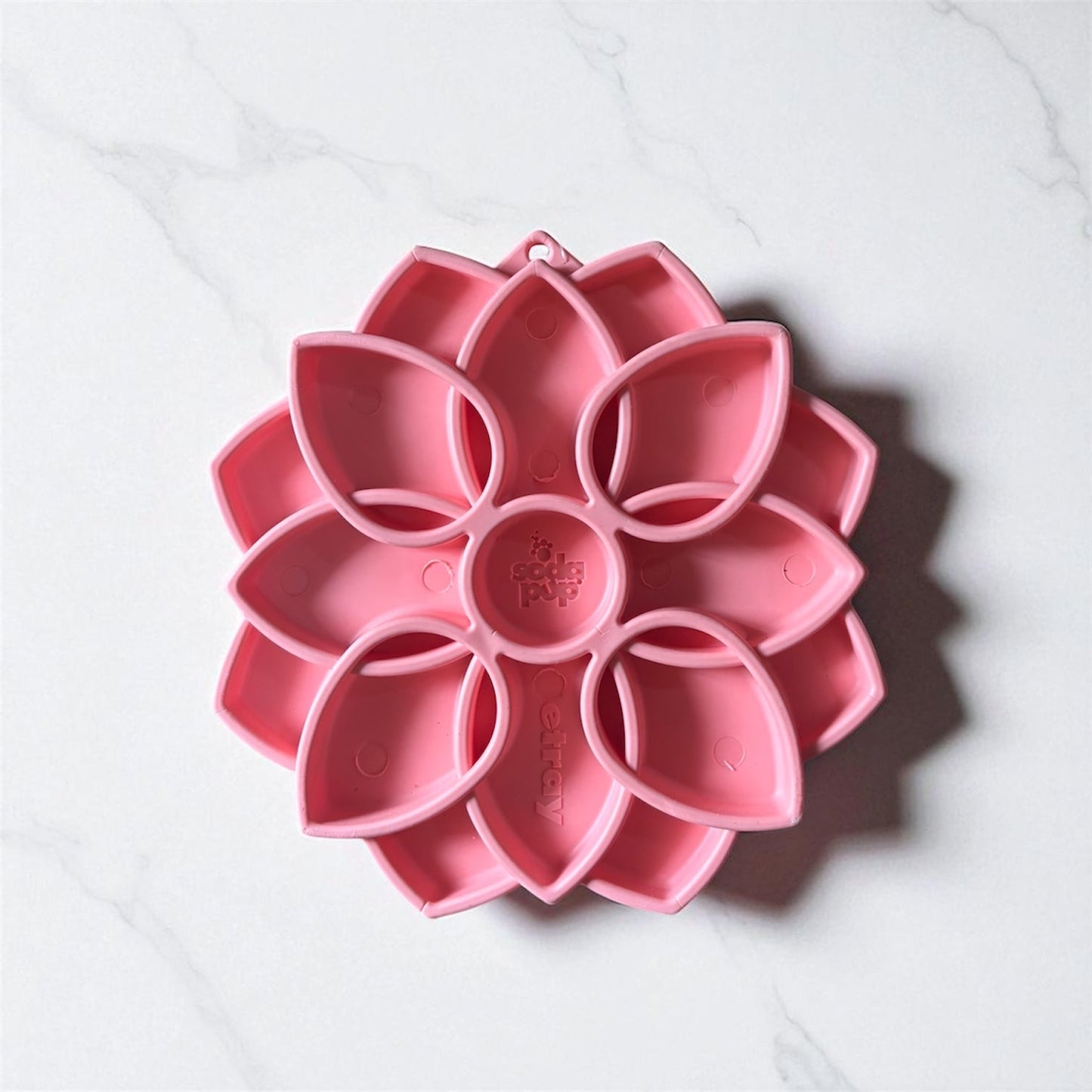 Gamelle enrichissement - mandala SODAPUP
