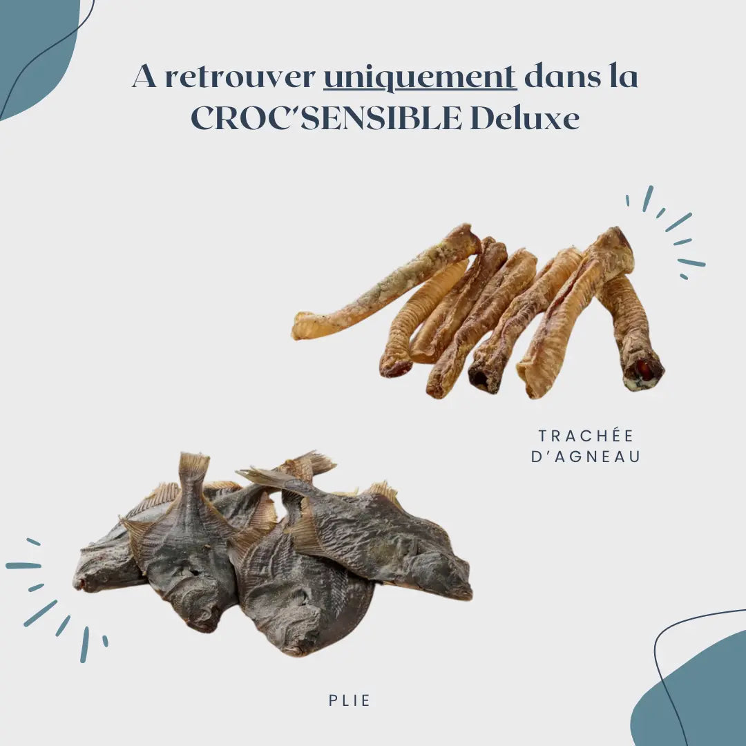 CROC'SENSIBLE Le Palais Canin