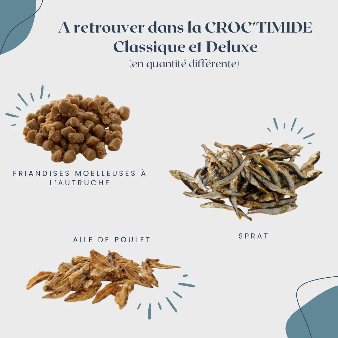 CROC'TIMIDE Le Palais Canin