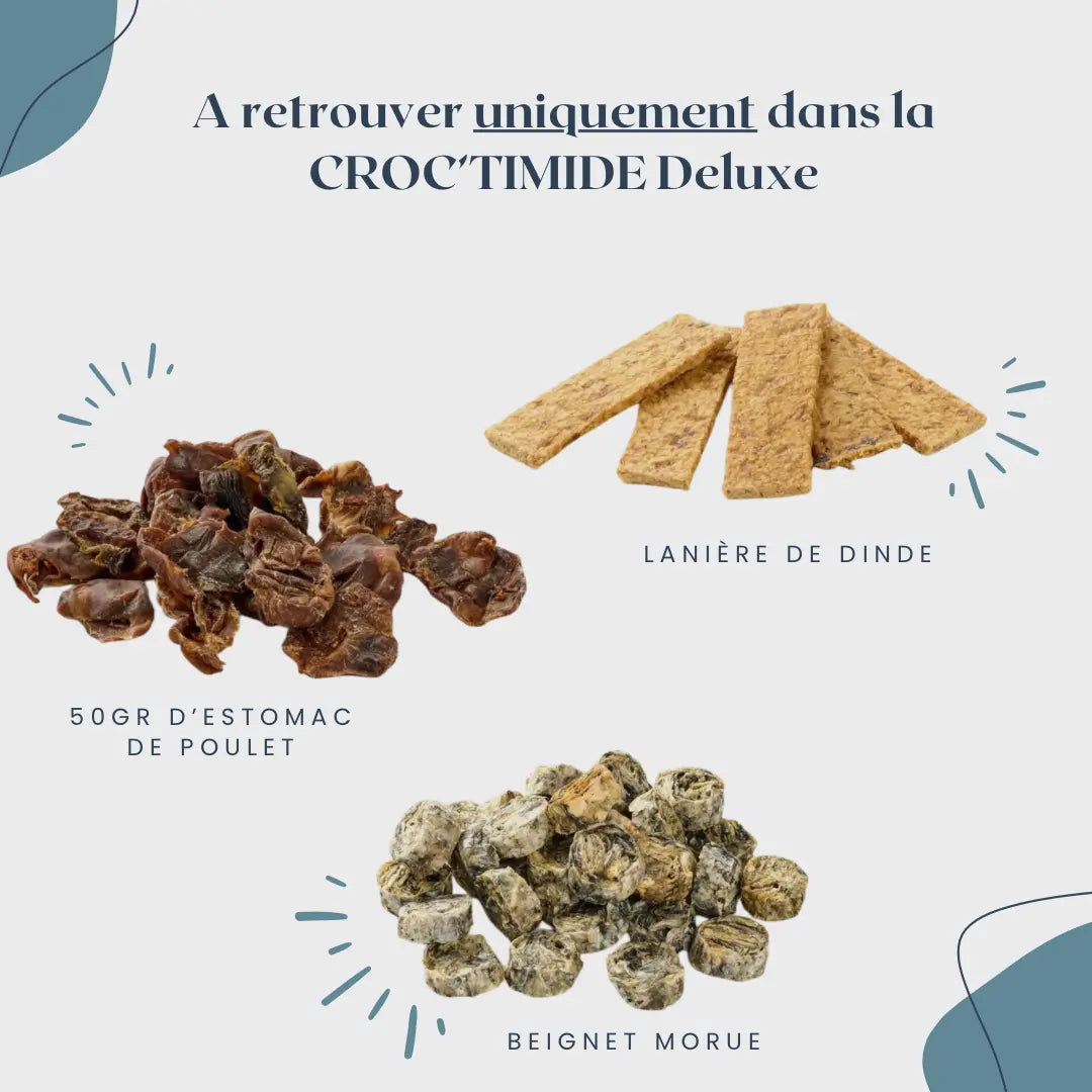 CROC'TIMIDE Le Palais Canin