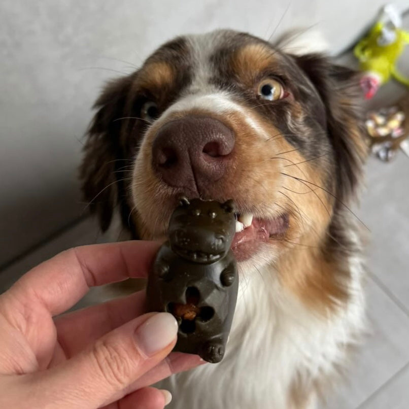 Veggie & poulet - animaux à fourrer