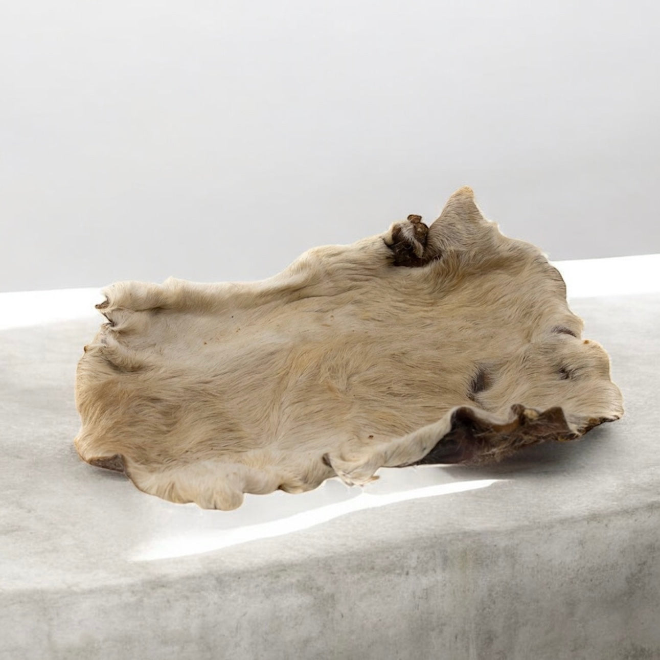 Plaque de peau de bœuf poilue XL Le Palais Canin