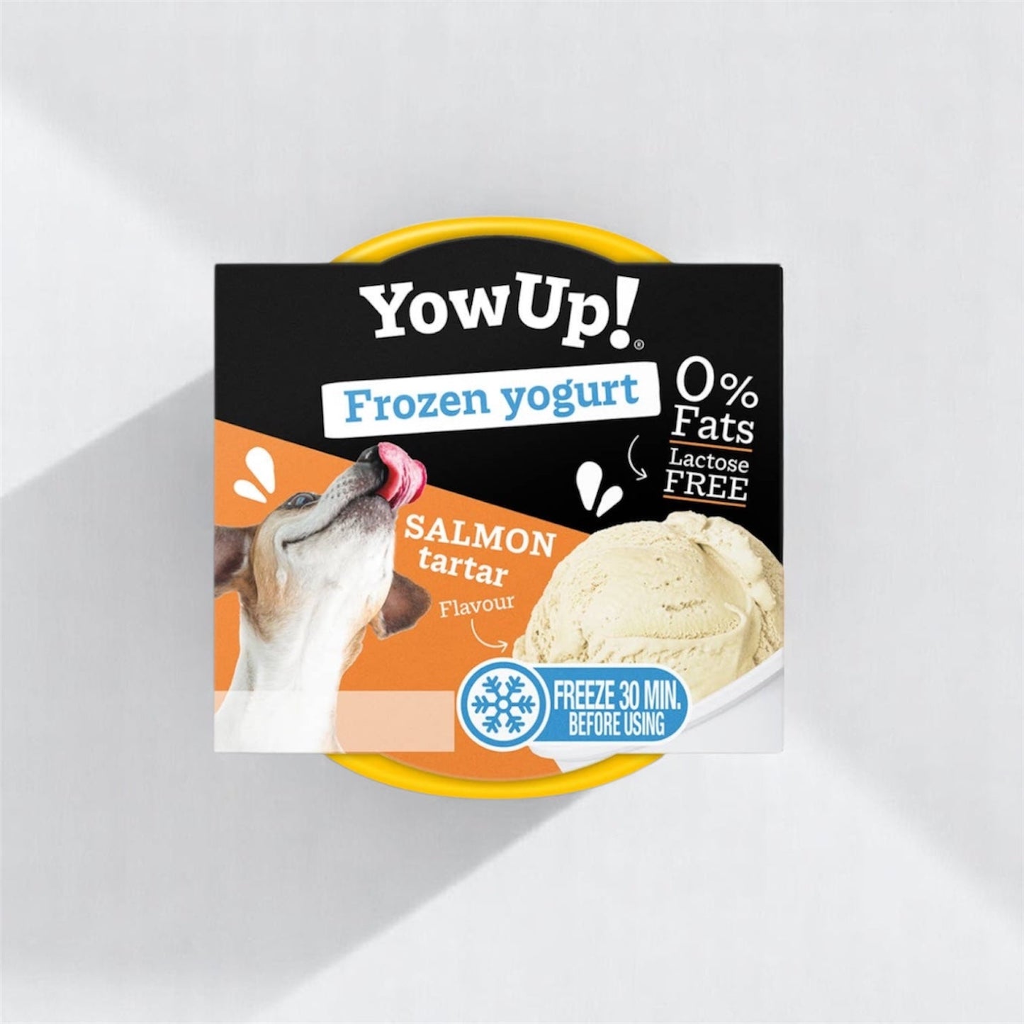 Yaourt glacé - saumon YowUp