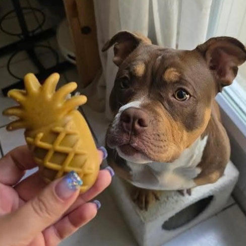 Fruit végétal Le Palais Canin