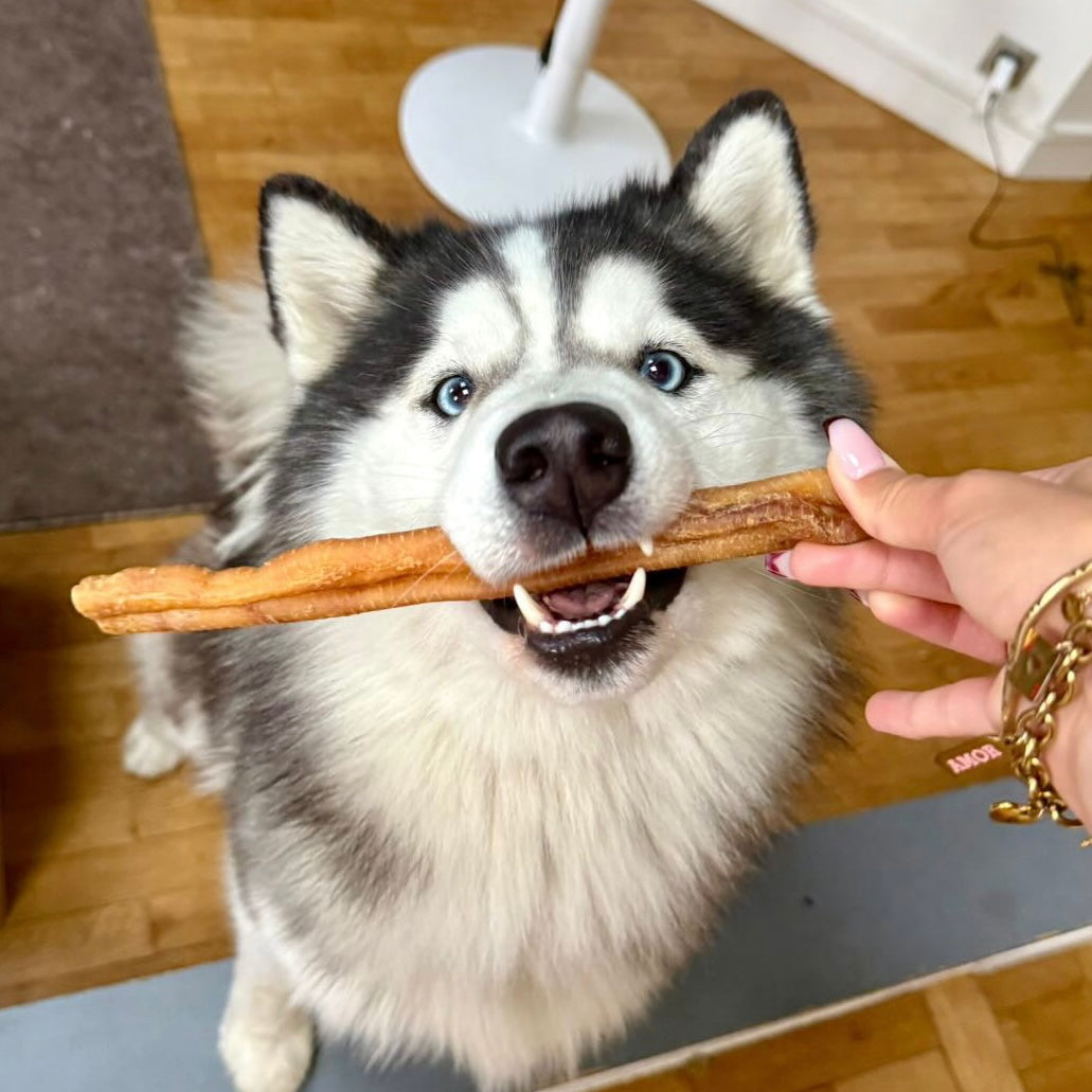 Rouleau de peau de porc - 25 cm Le Palais Canin