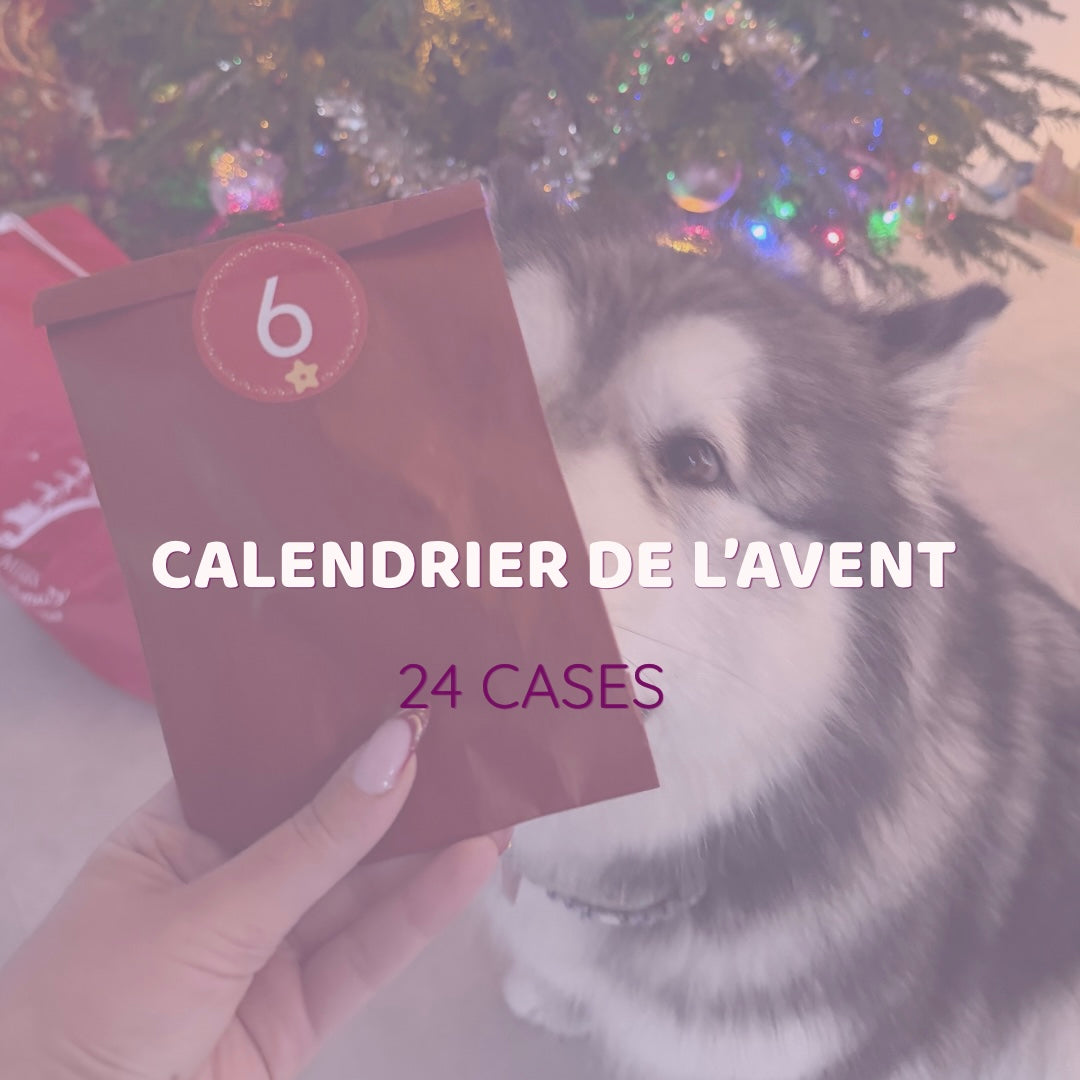Calendrier de lâavent pour chien (24 cases) Le Palais Canin