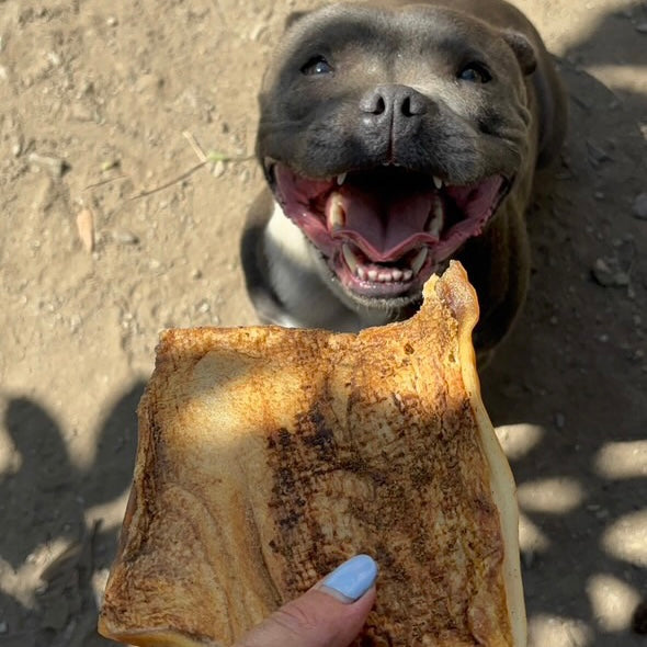 Plaque de peau de bœuf Le Palais Canin