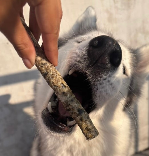 Bâtonnet de poisson Le Palais Canin