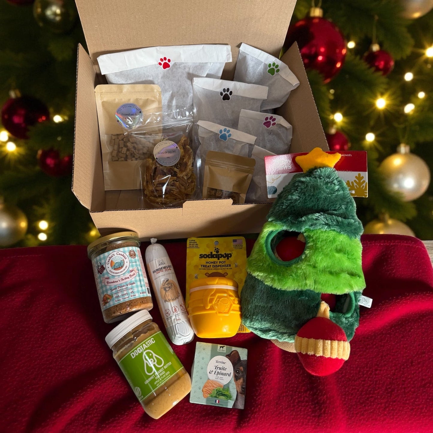 Box Rêves au Pôle Nord 🎄✨ 100% personnalisable Le Palais Canin