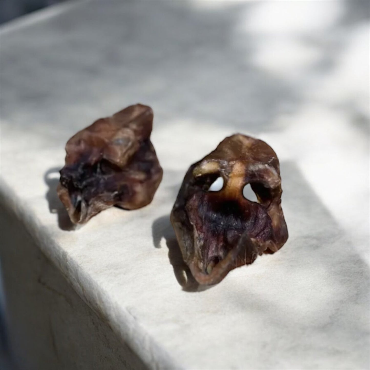 Nez de bœuf Le Palais Canin