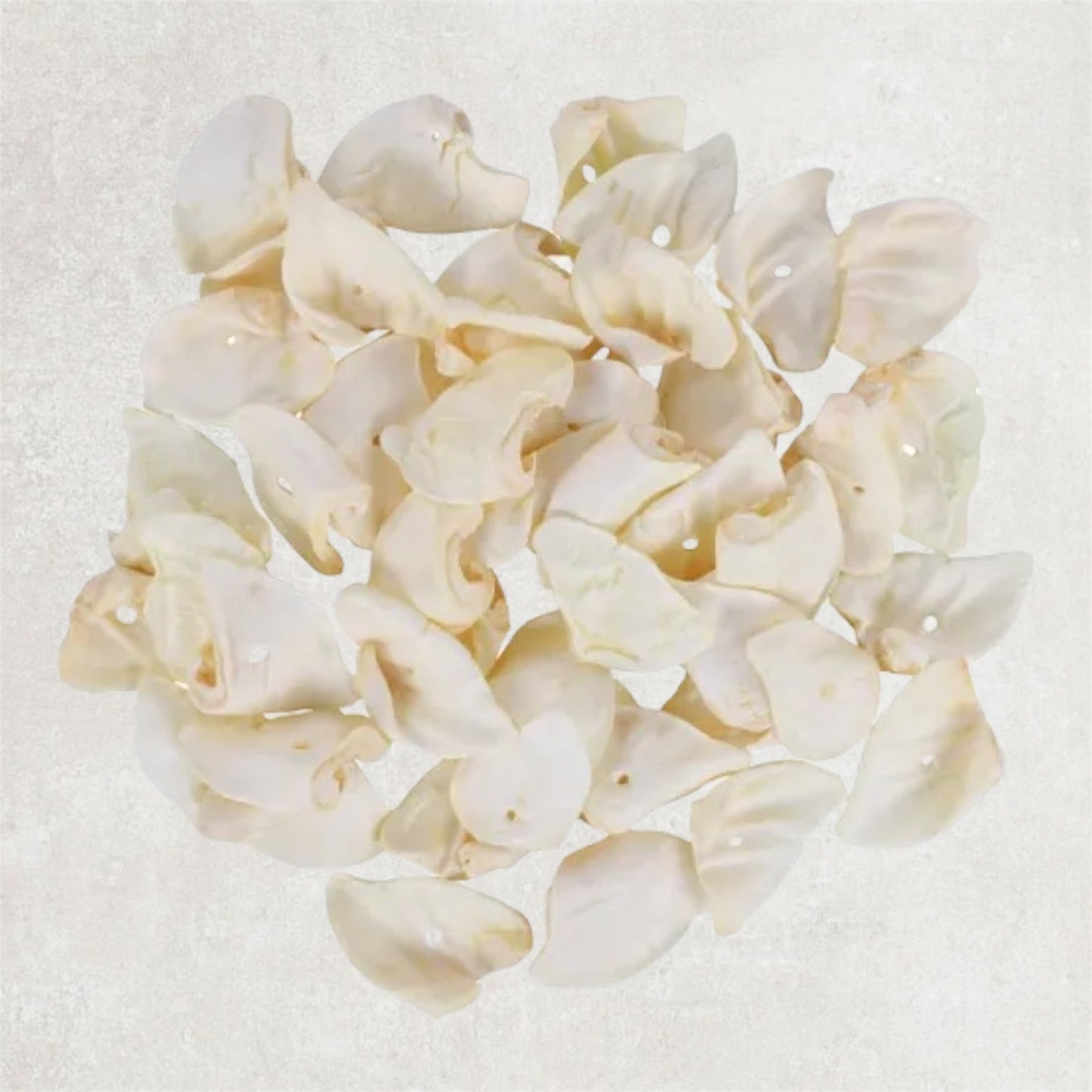 Oreille de porc soufflée Le Palais Canin