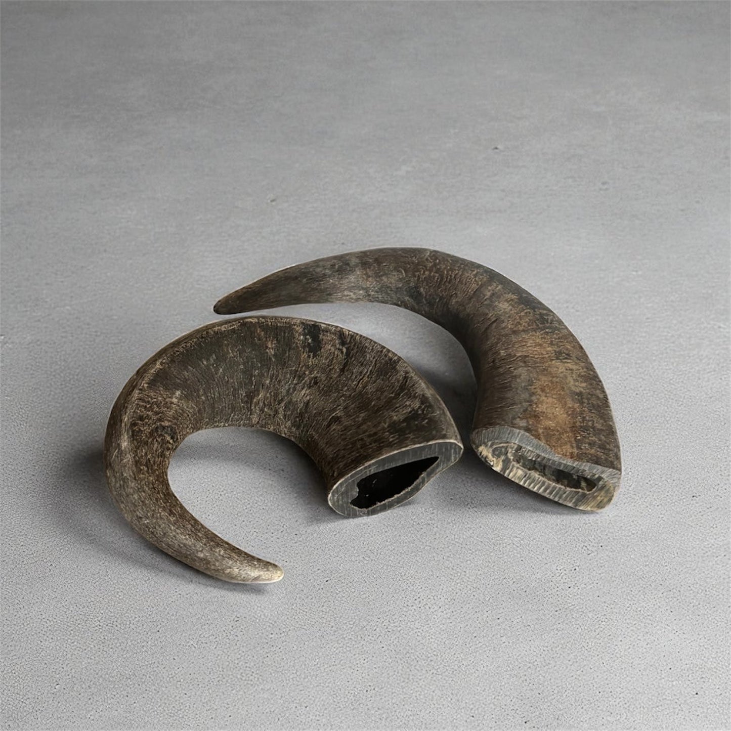 Corne de buffle Le Palais Canin