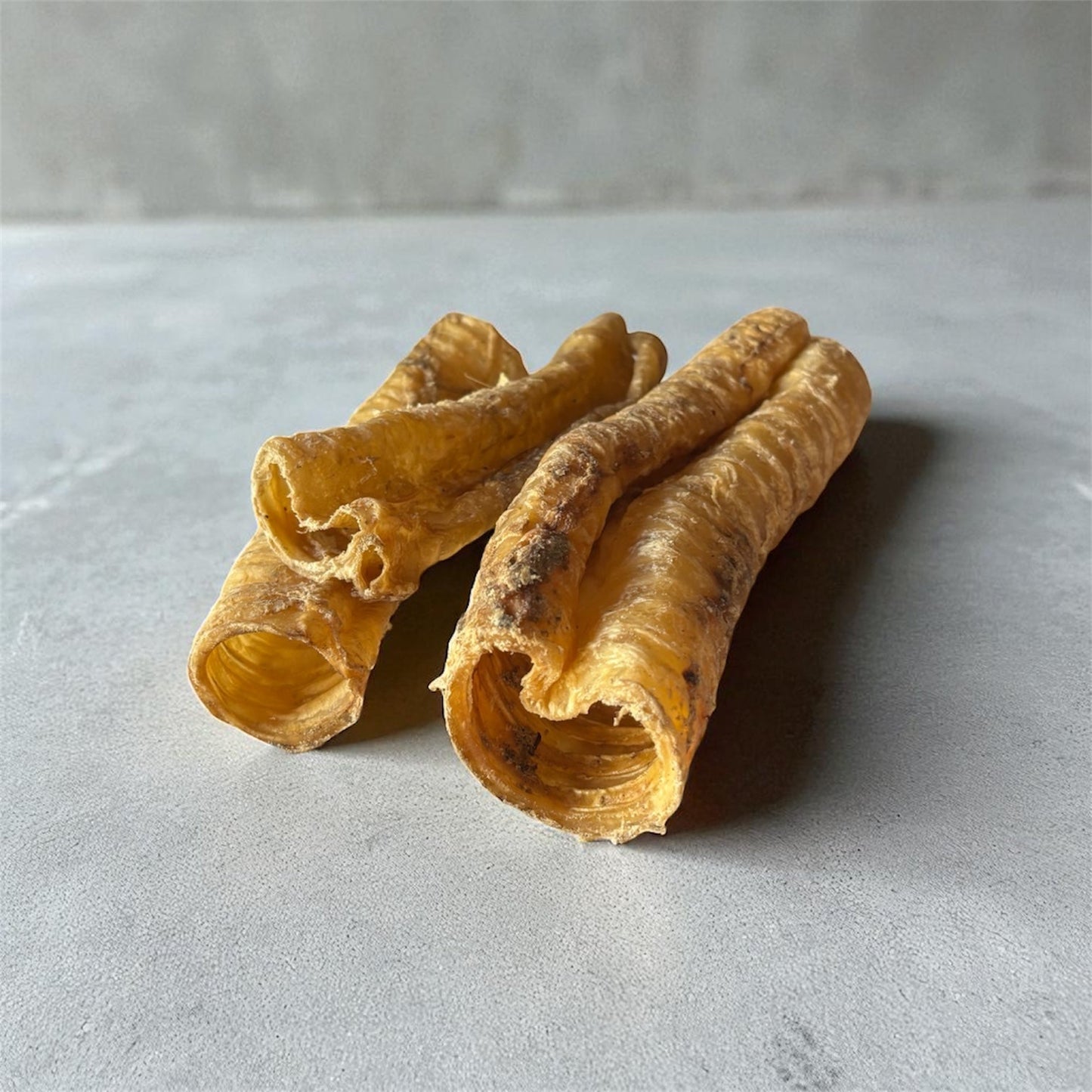 Trachée de chameau Le Palais Canin