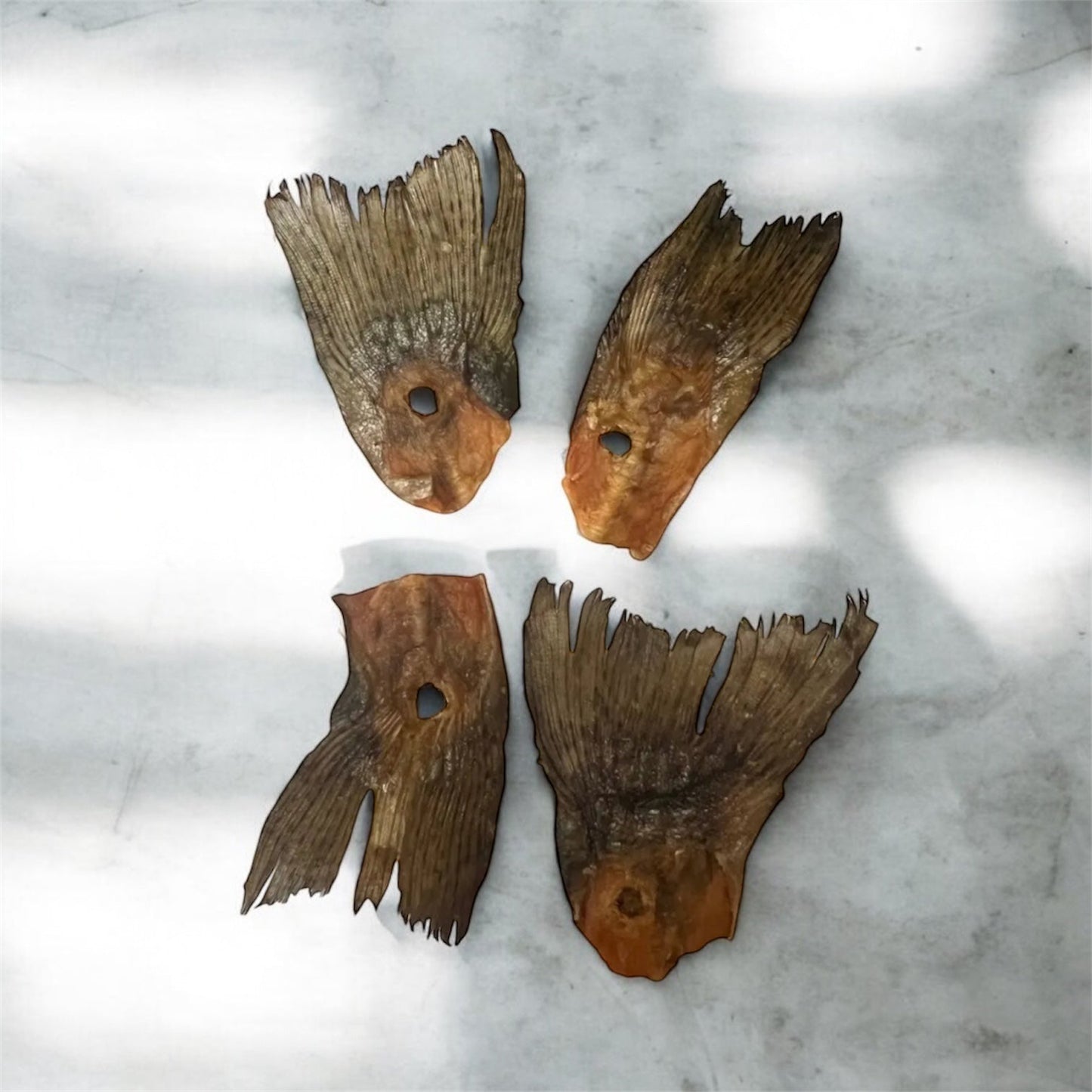 Queue de truite Le Palais Canin