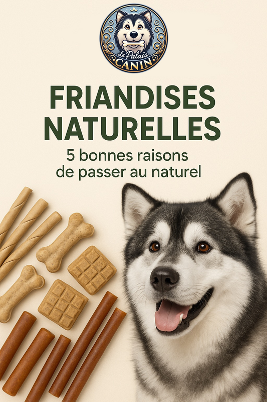 🐶 Friandises naturelles : 5 bonnes raisons de passer au naturel
