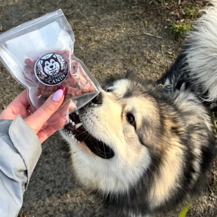 Friandises d'éducation Le Palais Canin