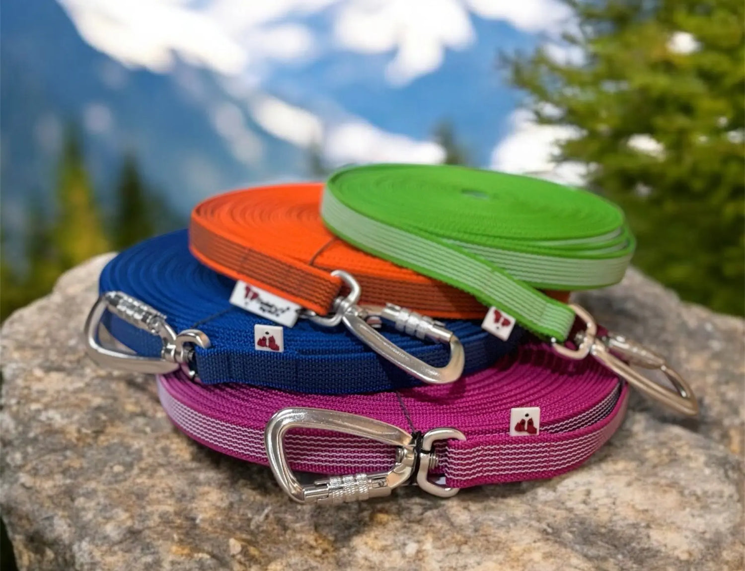 Promenade Le Palais Canin