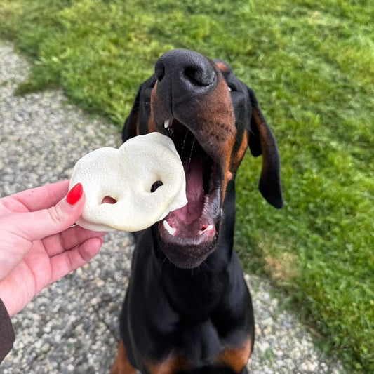 Groin de porc soufflé