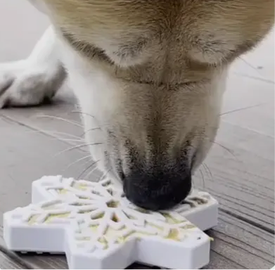 Jouet en nylon résistant - flocon de neige SODAPUP