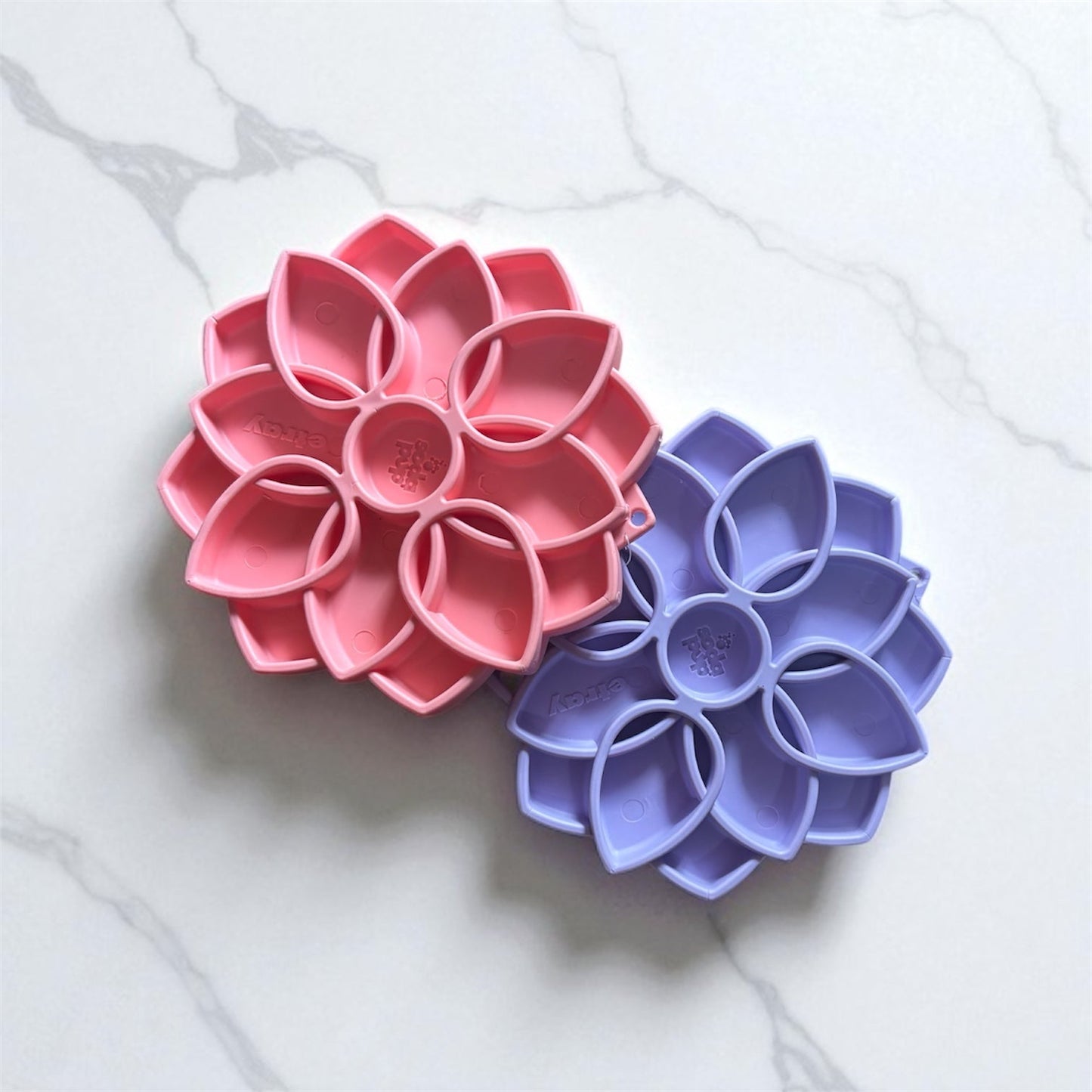 Gamelle enrichissement - mandala SODAPUP