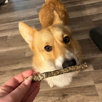 Bâtonnet de poisson