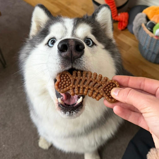 Veggie - arête de poisson