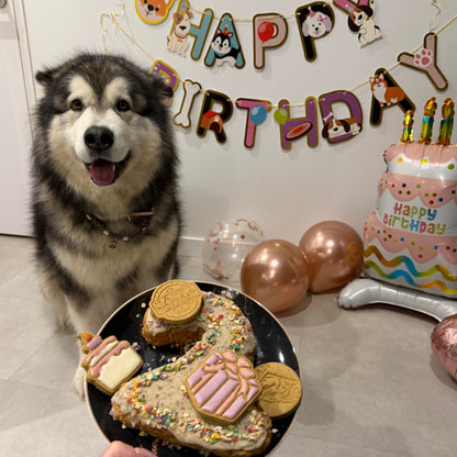 Birthday box ✨ 100% personnalisable Le Palais Canin