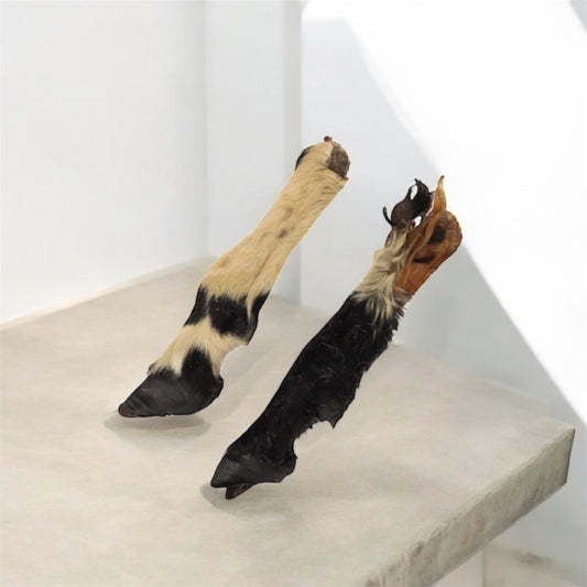 Pieds de mouton poilus