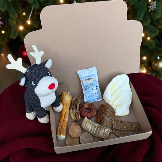 Box Douceurs de Noël Le Palais Canin