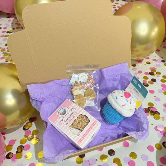 Box gâteau d'anniversaire Le Palais Canin