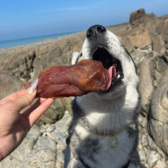 Filet de poulet séché Le Palais Canin