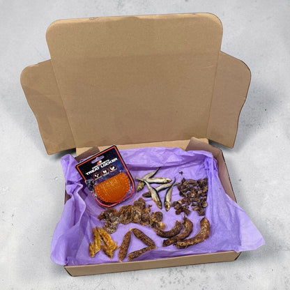 CROC'FUN & FOUILLE Le Palais Canin