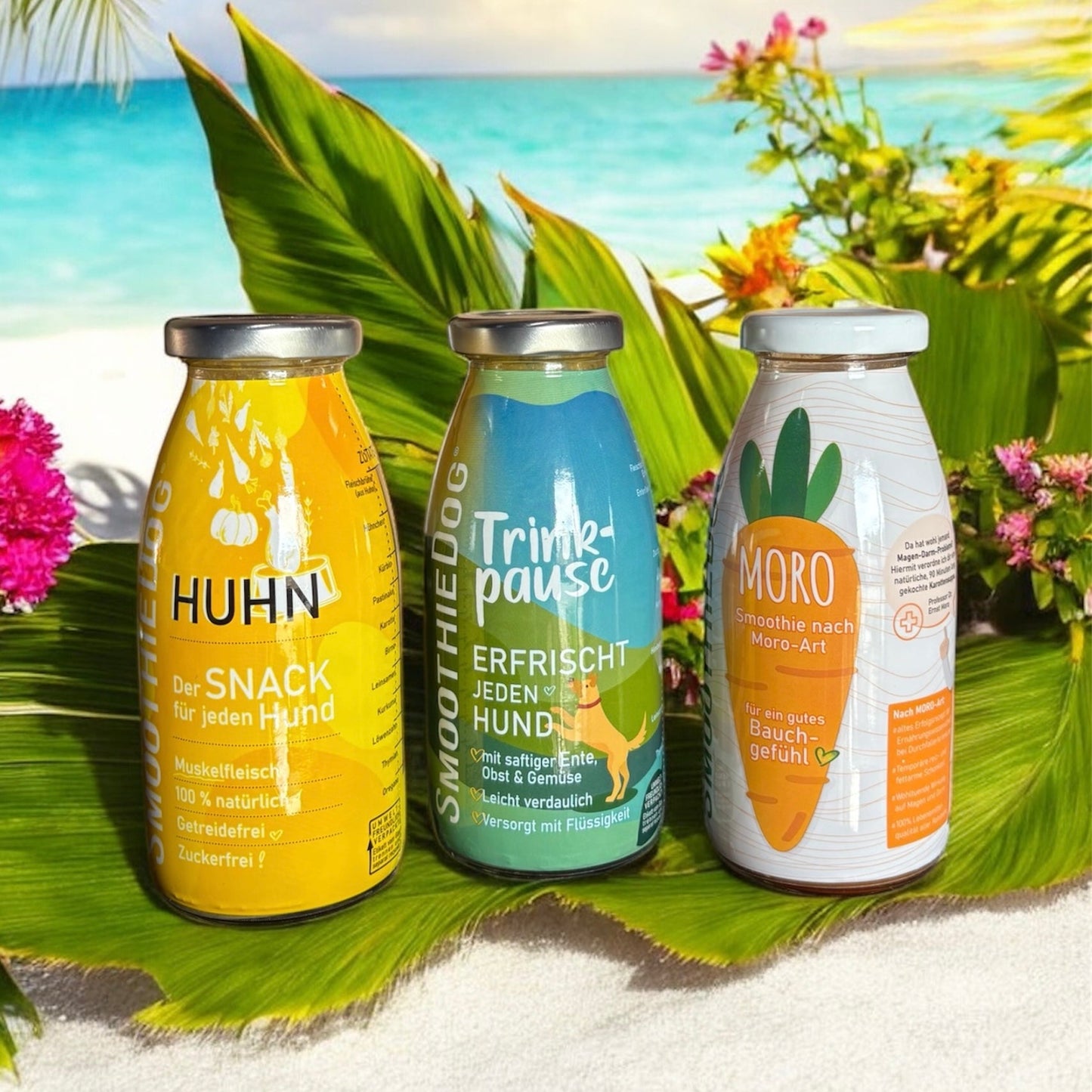 REFRESH BOX - édition limitée ☀️ Le Palais Canin