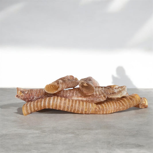 Trachée de bœuf - 30cm