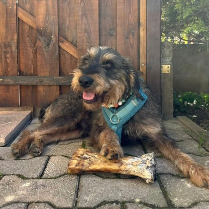 Demi jambe de veau Le Palais Canin