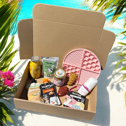 REFRESH BOX - édition limitée ☀️ Le Palais Canin