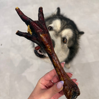 Patte de dinde XL Le Palais Canin