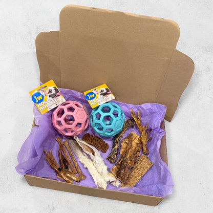 CROC'FUN & FOUILLE Le Palais Canin