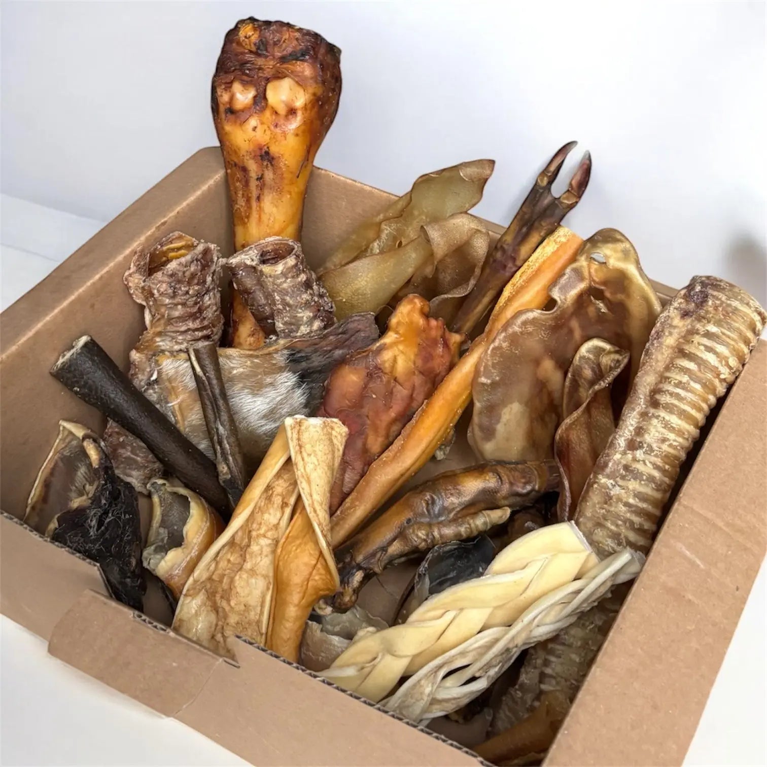 CROC'FEROCE Le Palais Canin