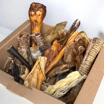 CROC'FEROCE Le Palais Canin