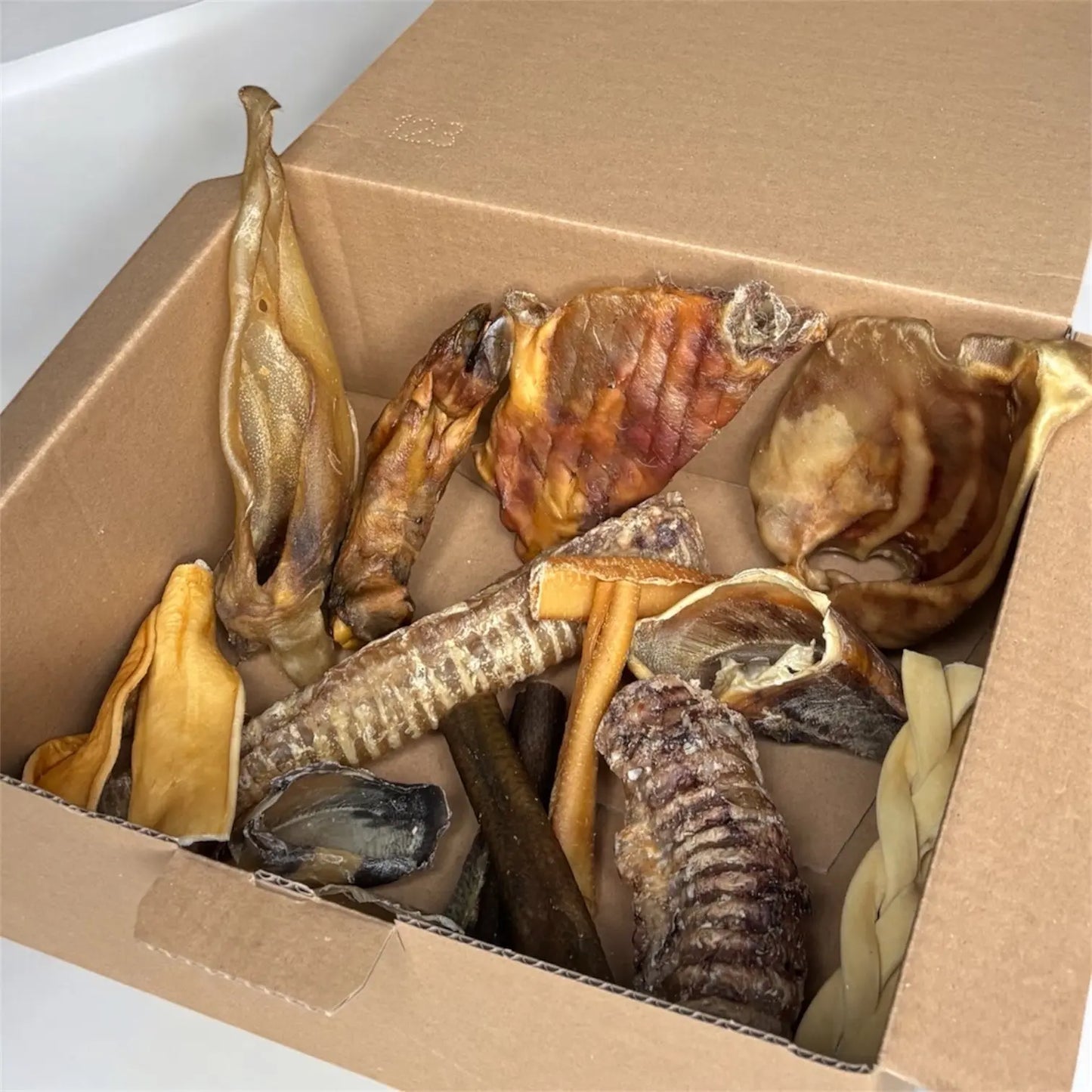 CROC'FEROCE Le Palais Canin