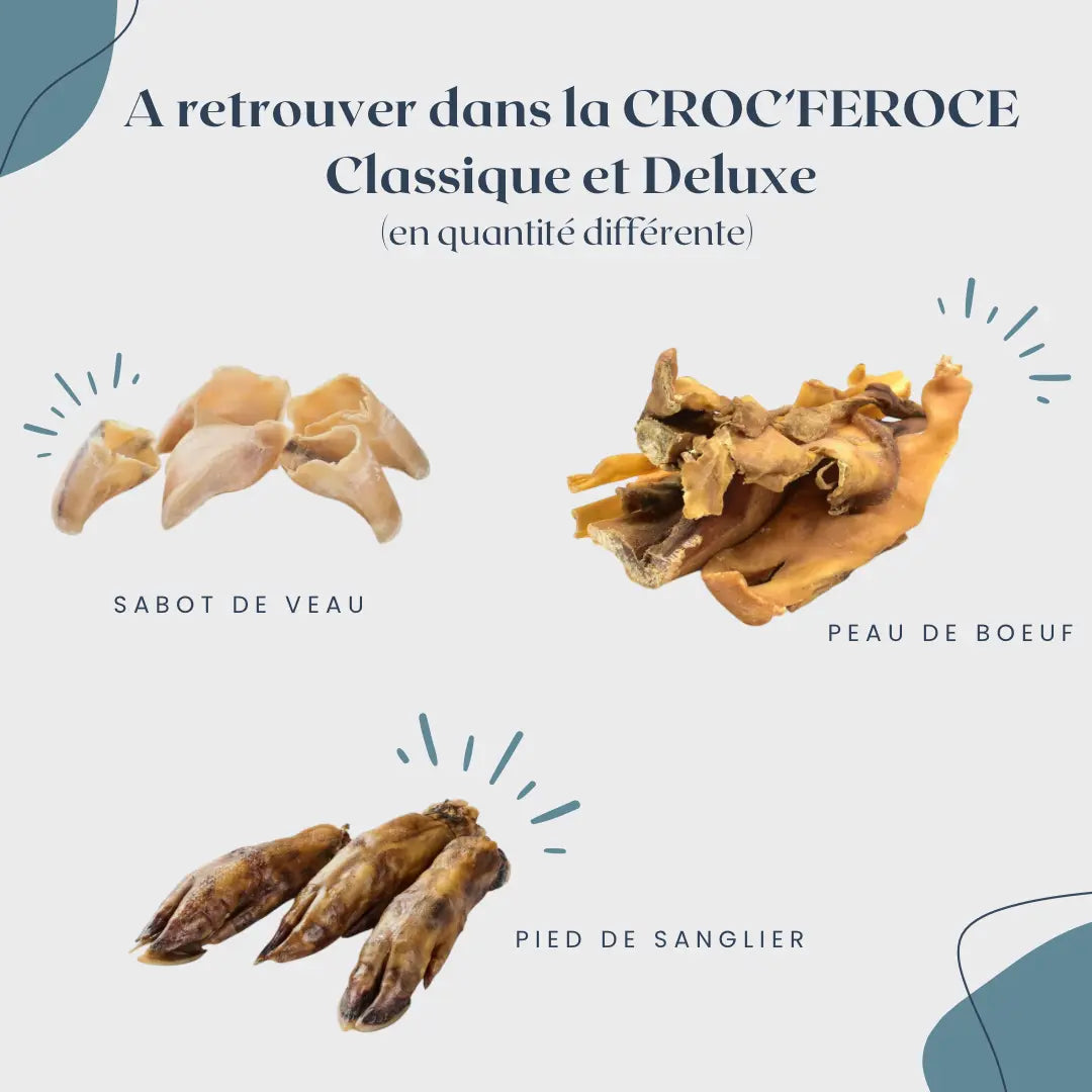 CROC'FEROCE Le Palais Canin