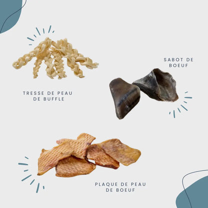 CROC'FEROCE Le Palais Canin