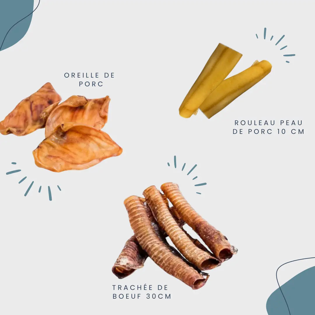 CROC'FEROCE Le Palais Canin